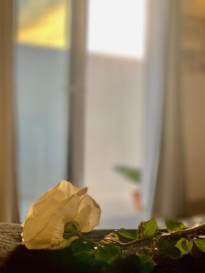 普拉亚布兰卡Loft La Isla公寓 外观 照片